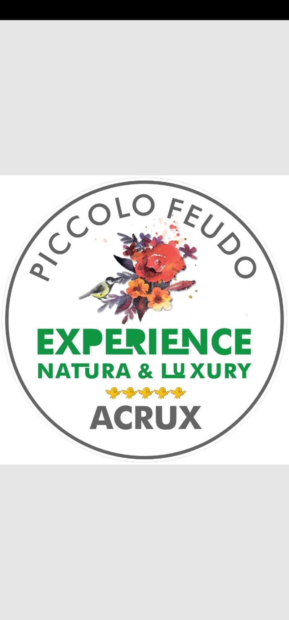 Piccolo Feudo Green Resort (Adults Only) Viterbo Pokój zdjęcie